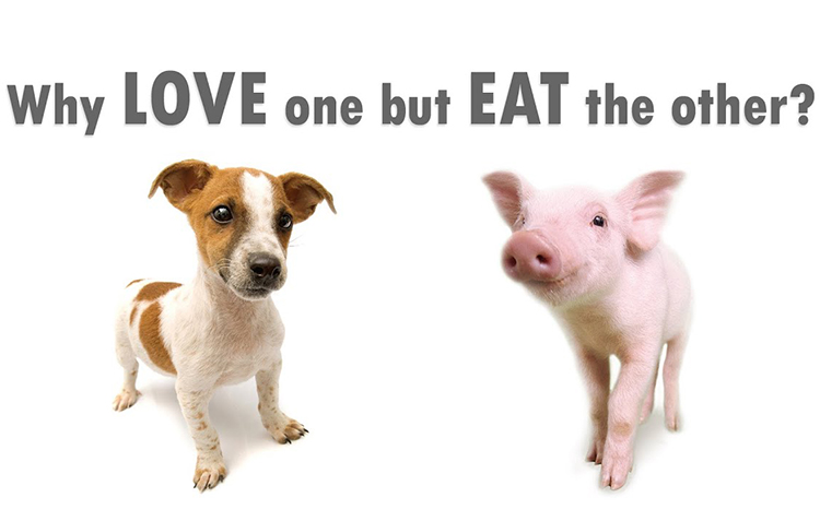 Why Love One But Eat the Other
